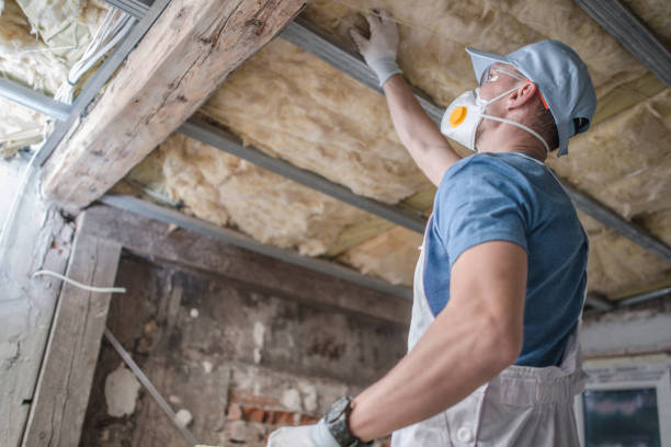 Best Energy Efficiency Solutions in Golden Glades, FL