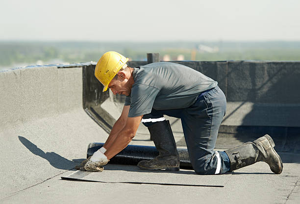 Best Types of Insulation in Golden Glades, FL
