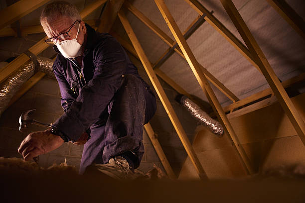 Best Specialty Insulation in Golden Glades, FL