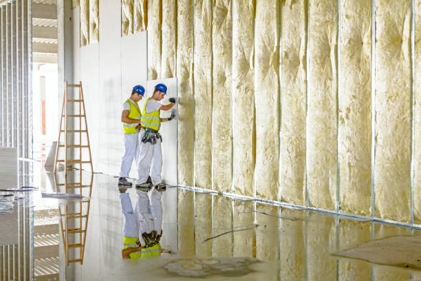 Best Residential Insulation in Golden Glades, FL